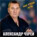 Александр Чурей - Нас грело лето