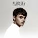 ALEKSEEV - Навсегда