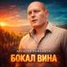 Алексей Романюта - Бокал вина