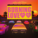 Alex del Toro feat. Noa VD - Burning Love