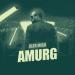 Alex Mica - Amurg