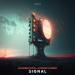 Alexander Popov, Hi Profile, somnia - Signal