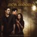 Alexandre Desplat - New Moon (The Meadow)