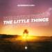 Ali Schwartz - The Little Things