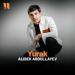 Alibek Abdullayev - Yurak