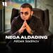 Alibek Sadikov - Nega Aldading