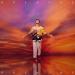 Alok feat. Felix Jaehn x The Vamps - All The Lies