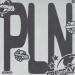Alvaro Diaz - PLN