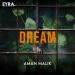 Aman Malik - Dream