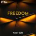 Aman Malik - Freedom