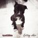 Antiiin - Getting Older