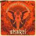 Anton Lacosta & Aleks Marty - Shakti