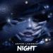 Anton Lacosta - Night