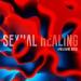 Apollinare Rossi - Sexual Healing
