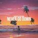 Aradon & Artesimo - Never Go Down