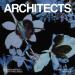 Architects feat. Daniel Joseph - Broken Mirror (Daniel Joseph Remix)