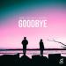 Ardo & DeeJaVu & Nikster - Goodbye