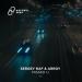 Arroy & Sergey Raf - Missed U