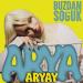 Arya Aryay - Buzdan Soğuk