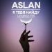 Aslan - Я Тебя Найду (Lezginka Mix)