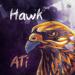 Ati - Hawk