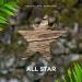 Austin Levy feat. Pappillio - All Star