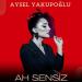 Aysel Yakupoğlu - Ah Sensiz