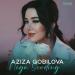 Азиза Кобилова - Nega Sevding