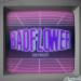 Badflower - Detroit