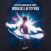 Badjack, Nordic Brave House - Would I Lie To You