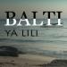 Balti Feat Hamouda - Ya Lili ( Fizo Faouez DanceHall Remix ) 