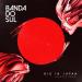 Banda Do Sul - Big in Japan (Krister Remix)
