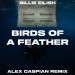 Billie Eilish - BIRDS OF A FEATHER (Alex Caspian Remix)