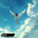 BIMONTE - Believe