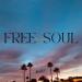 bisque - Free Soul