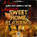 Blaikz, Felix Harrer, Toby DEE - Sweet Home Alabama