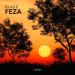 Blaze - Feza