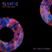 Blinkie - What You Want (KC Lights Remix)