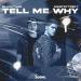 Bluckther feat. Martin Trevy - Tell Me Why