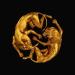 Blue Ivy, SAINt JHN, Beyoncé & Wizkid - Brown Skin Girl