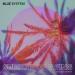 Blue System - Sultans Of Swing (Dataset Remix)
