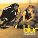 Blur - Badhead