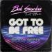 Bob Sinclar feat. D Train - Got To Be Free (Skalp Remix)