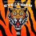 Bodybangers, Chris van Dutch & Marc Kiss - Eye Of The Tiger