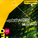 Bomfunk MCs - Freestyler (Ayur Tsyrenov DFM Remix)