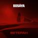 BOSAYA - Ветеран