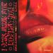 Braaheim feat. ILYAA - I Was Made For Lovin You