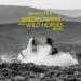 Brandi Cyrus feat. Lainey Wilson - Wildflowers and Wild Horses (Remix)