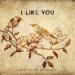 Brazil XXI - I Like You (feat. Luca Giacco)