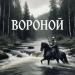 БРОнъ - Вороной